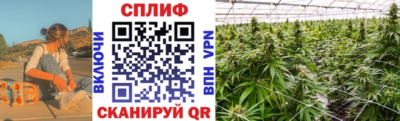 darknet как зайти  Харабали  МАРИХУАНА гибрид 
